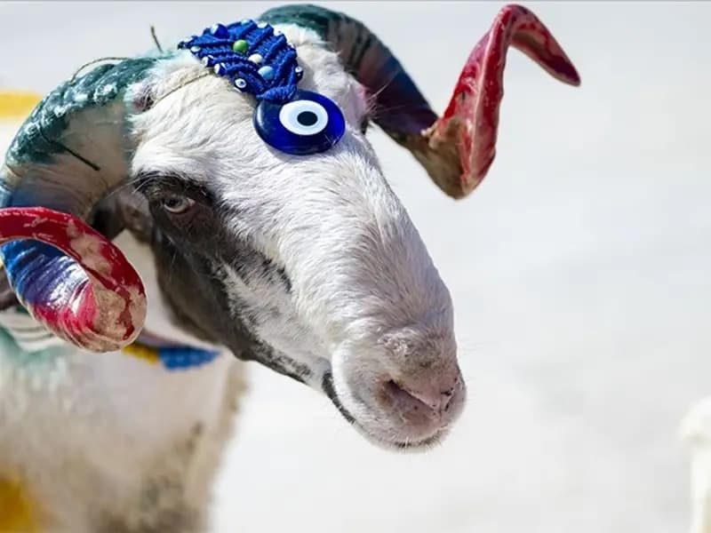 2026 Kurban Bayramı Tarihleri Belli Oldu: 4 Gün Sürecek