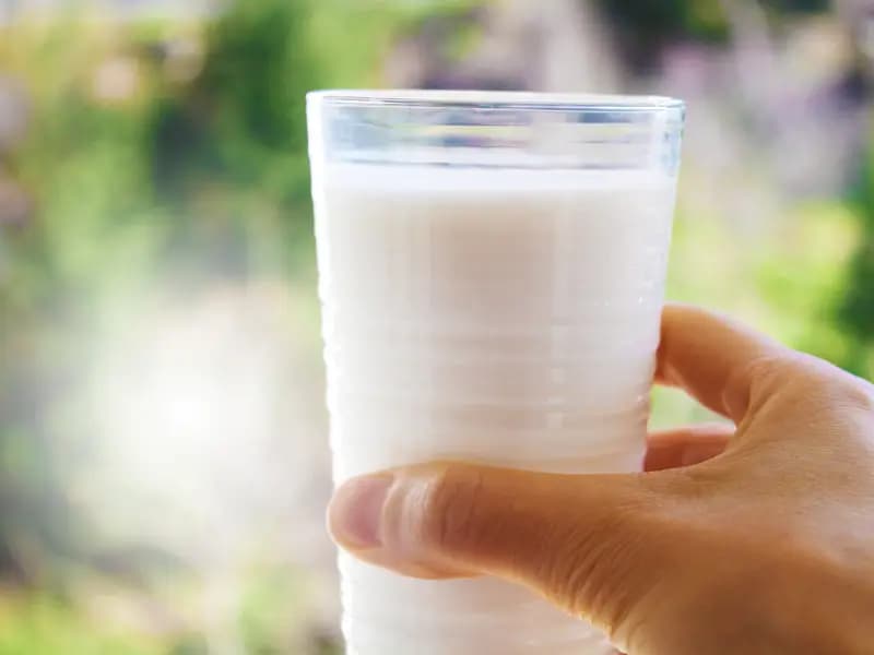 Günde Bir Bardak Süt İçmek, İnme Riskini Azaltıyor