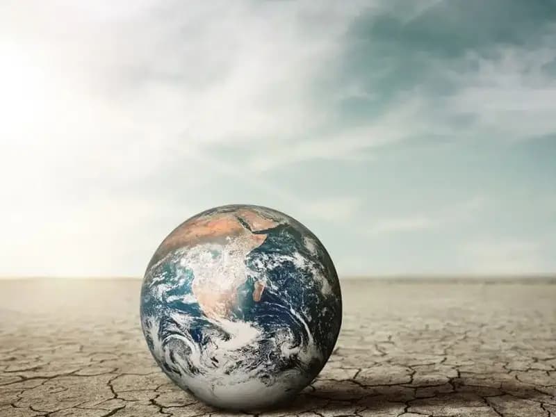 İklim Alarmı: Dünya Meteoroloji Örgütü'nden Kritik Uyarı