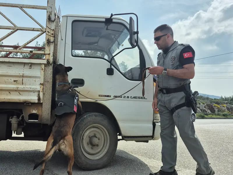 Bodrum'a Bayram Öncesi Yoğun Araç Girişi: 25 Bin Araç