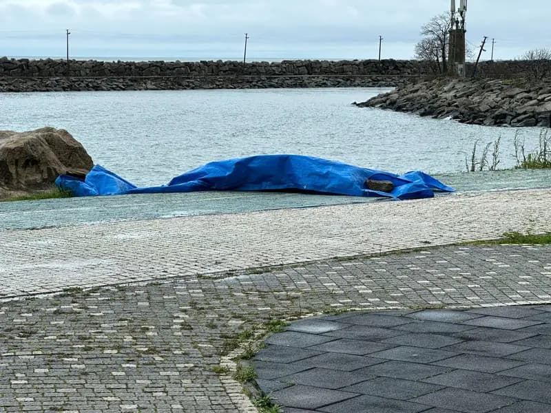Ordu Fatsa'da Sahilde Gizemli İnsansız Araç Bulundu