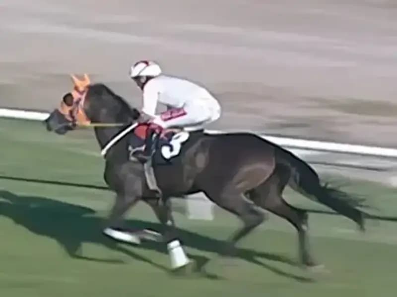 Mersin'deki Kavurma Skandalı, İngiltere'de Tartışma Yarattı