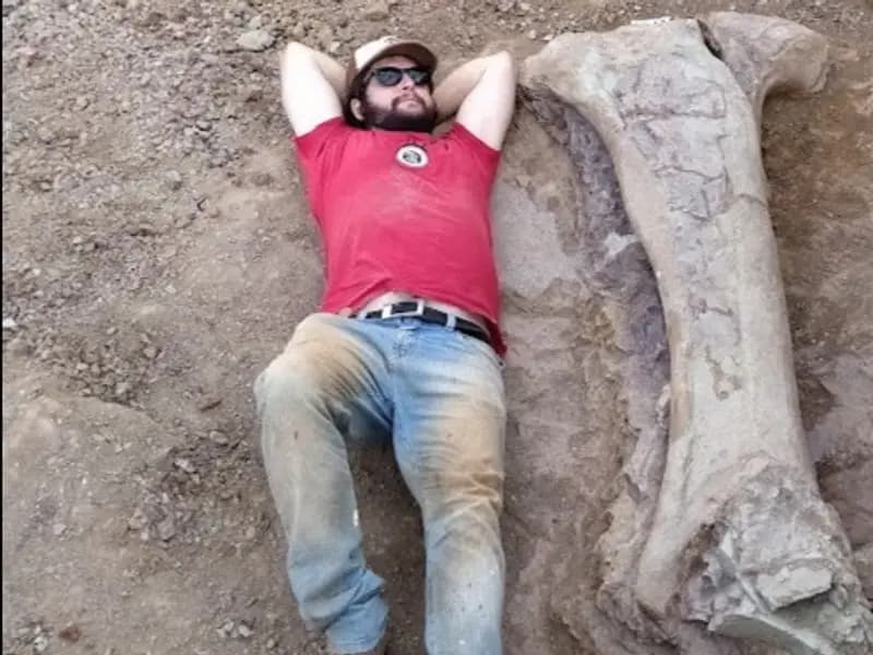 Brezilya’da Devasa Dinozor Türü Dasosaurus tocantinensis Bulundu